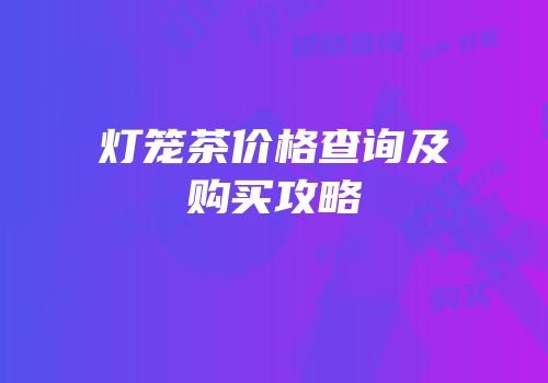灯笼茶价格查询及购买攻略