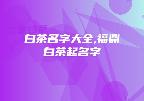 白茶名字大全,福鼎白茶起名字