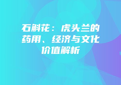 石斛花：虎头兰的药用、经济与文化价值解析