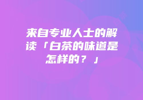 来自专业人士的解读「白茶的味道是怎样的？」