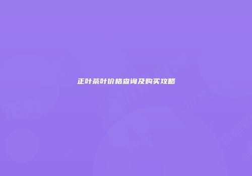正叶茶叶价格查询及购买攻略