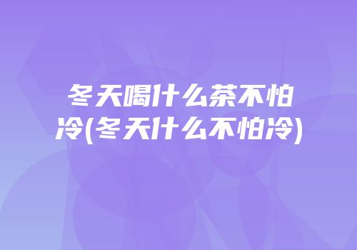 冬天喝什么茶不怕冷(冬天什么不怕冷)