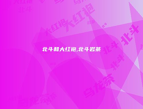 北斗和大红袍,北斗岩茶