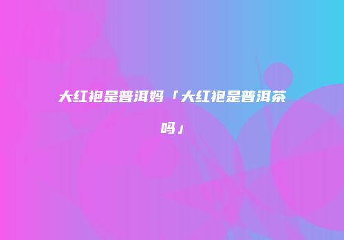 大红袍是普洱妈「大红袍是普洱茶吗」