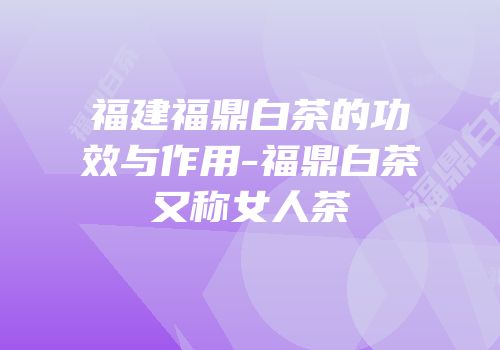 福建福鼎白茶的功效与作用-福鼎白茶又称女人茶