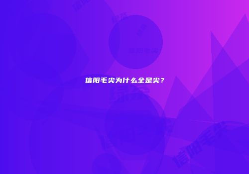 信阳毛尖为什么全是尖？