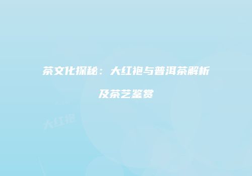 茶文化探秘：大红袍与普洱茶解析及茶艺鉴赏