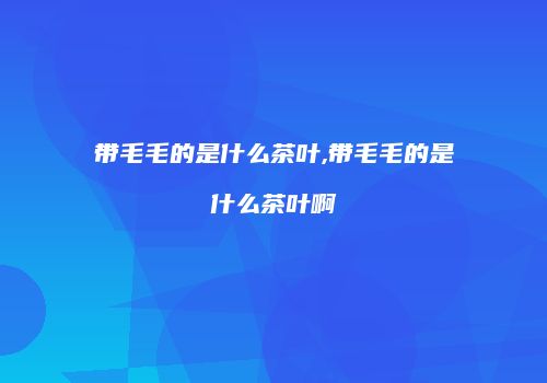 带毛毛的是什么茶叶,带毛毛的是什么茶叶啊