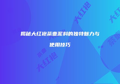 揭秘大红袍茶壶泥料的独特魅力与使用技巧