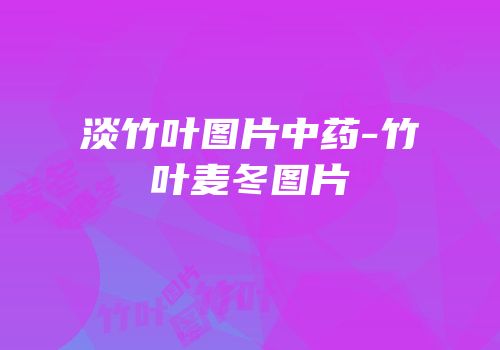 淡竹叶图片中药-竹叶麦冬图片