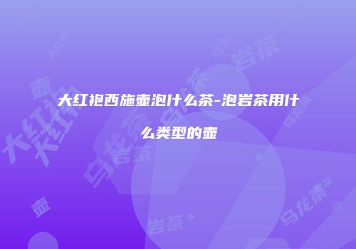 大红袍西施壶泡什么茶-泡岩茶用什么类型的壶