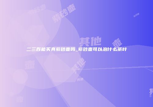 二三百能买真紫砂壶吗_紫砂壶可以泡什么茶叶