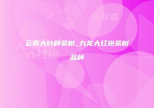 云南大叶种茶树_九龙大红袍茶树品种