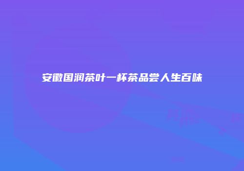 安徽国润茶叶一杯茶品尝人生百味