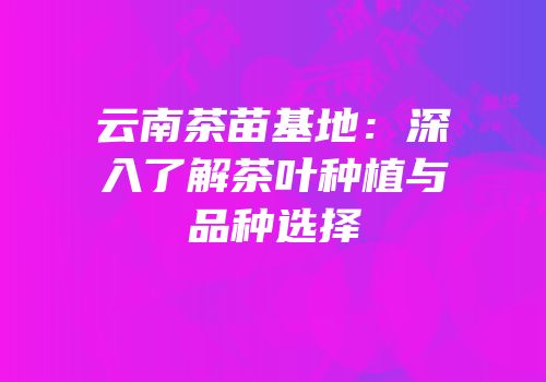 云南茶苗基地：深入了解茶叶种植与品种选择