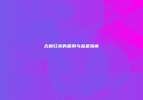 古树红茶的鉴别与品鉴指南