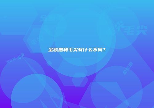 金骏眉和毛尖有什么不同？