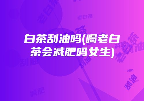 白茶刮油吗(喝老白茶会减肥吗女生)