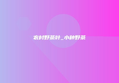 农村野茶叶_小种野茶