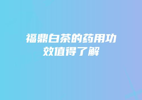 福鼎白茶的药用功效值得了解