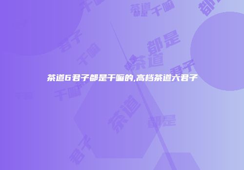 茶道6君子都是干嘛的,高档茶道六君子