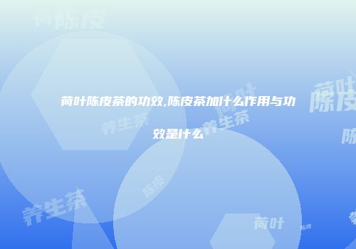 荷叶陈皮茶的功效,陈皮茶加什么作用与功效是什么