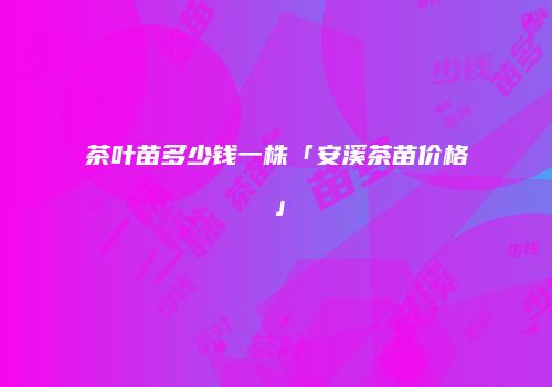茶叶苗多少钱一株「安溪茶苗价格」