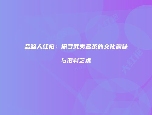 品鉴大红袍：探寻武夷名茶的文化韵味与泡制艺术