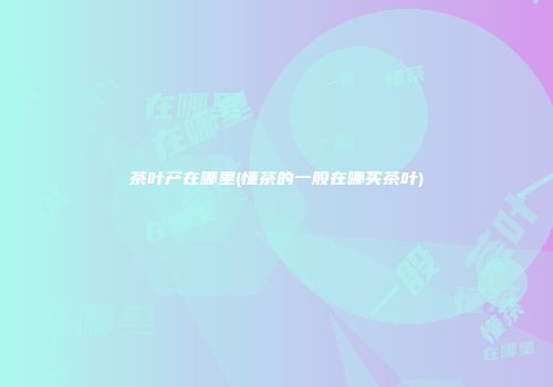 茶叶产在哪里(懂茶的一般在哪买茶叶)