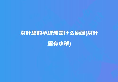 茶叶里的小绒球是什么原因(茶叶里有小球)