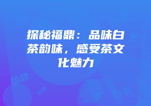 探秘福鼎：品味白茶韵味，感受茶文化魅力