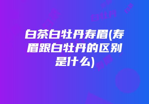 白茶白牡丹寿眉(寿眉跟白牡丹的区别是什么)