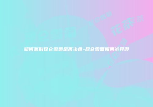 如何鉴别昆仑雪菊是否染色-昆仑雪菊如何辨真假