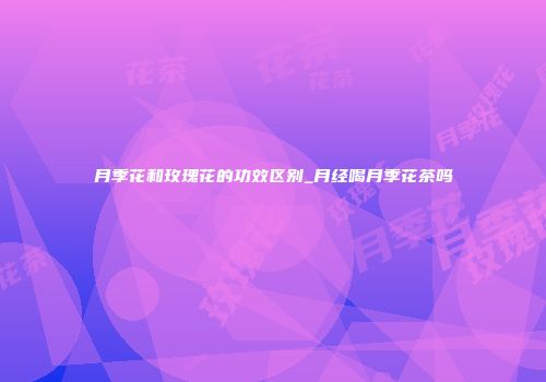 月季花和玫瑰花的功效区别_月经喝月季花茶吗