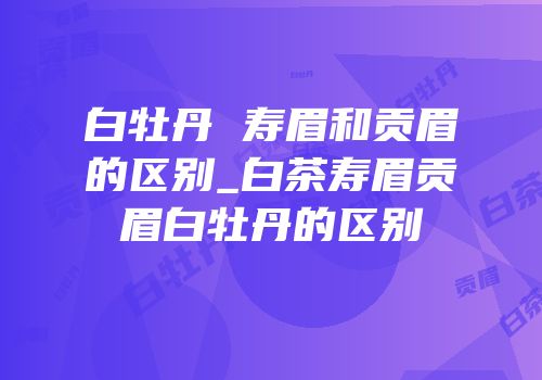 白牡丹 寿眉和贡眉的区别_白茶寿眉贡眉白牡丹的区别