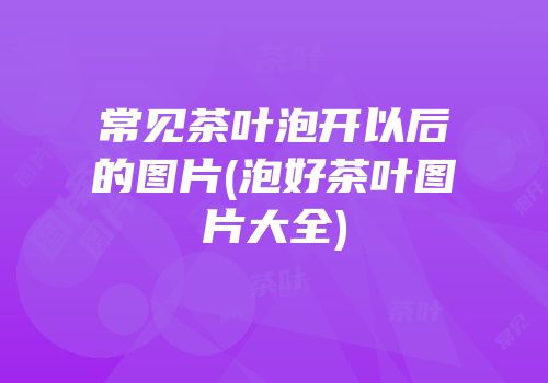 常见茶叶泡开以后的图片(泡好茶叶图片大全)