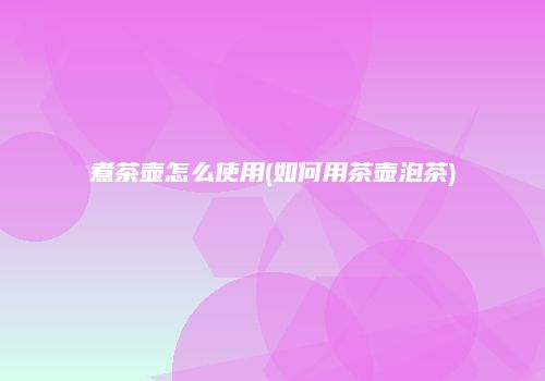 煮茶壶怎么使用(如何用茶壶泡茶)