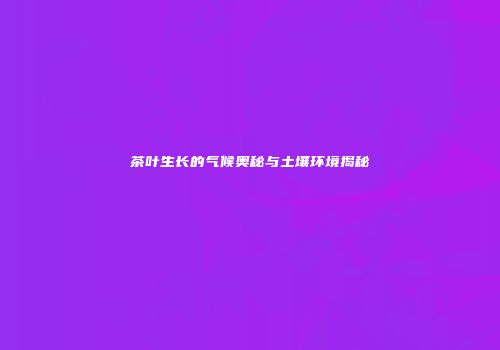 茶叶生长的气候奥秘与土壤环境揭秘