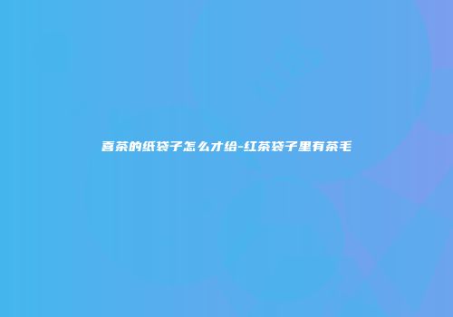 喜茶的纸袋子怎么才给-红茶袋子里有茶毛