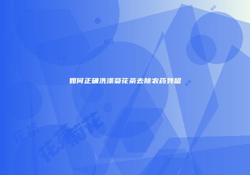 如何正确洗涤菊花茶去除农药残留
