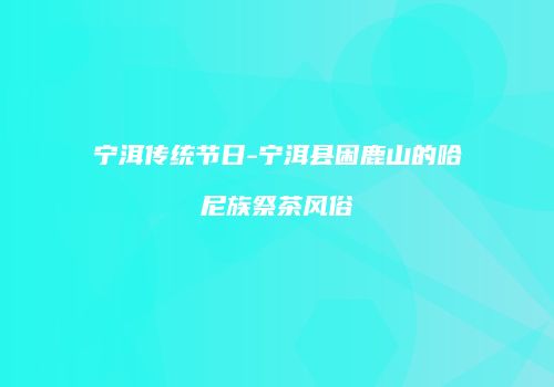 宁洱传统节日-宁洱县困鹿山的哈尼族祭茶风俗