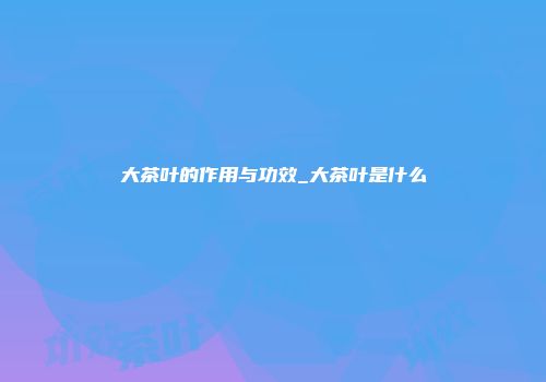 大茶叶的作用与功效_大茶叶是什么