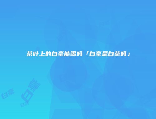 茶叶上的白毫能喝吗「白毫是白茶吗」