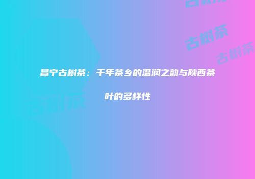 昌宁古树茶：千年茶乡的温润之韵与陕西茶叶的多样性