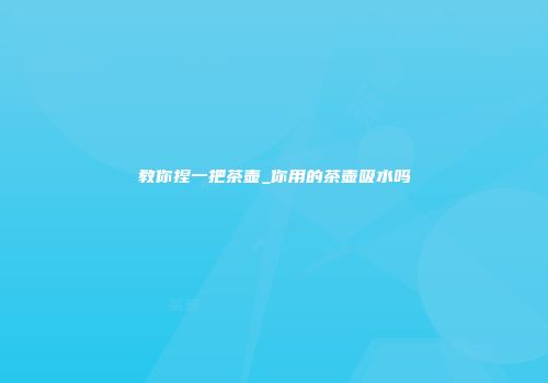 教你捏一把茶壶_你用的茶壶吸水吗