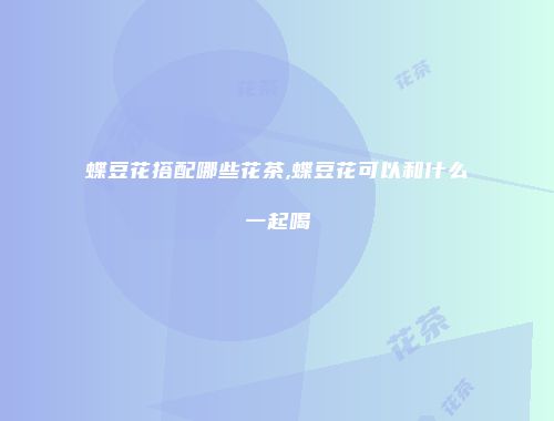 蝶豆花搭配哪些花茶,蝶豆花可以和什么一起喝