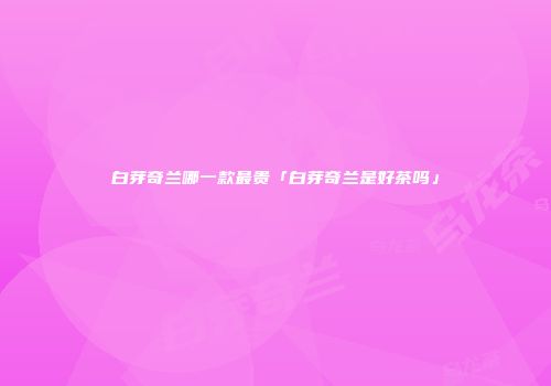 白芽奇兰哪一款最贵「白芽奇兰是好茶吗」