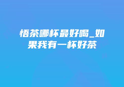 悟茶哪杯最好喝_如果我有一杯好茶