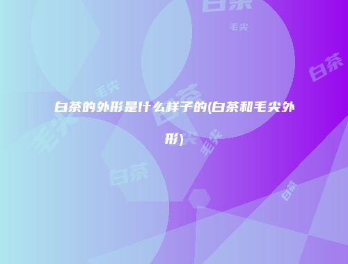 白茶的外形是什么样子的(白茶和毛尖外形)