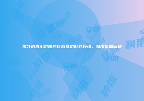 茶叶树与山茶树的区别及茶叶的种植、利用价值解析